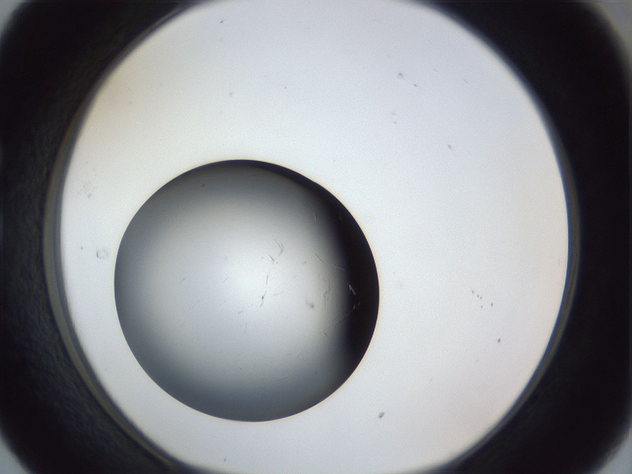 folderID945_plateID945_batchID1179_wellNum29_profileID1_d1_r35743_ef.jpg