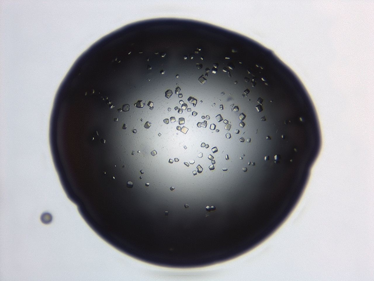 04em_B11_ImagerDefaults_0.jpg