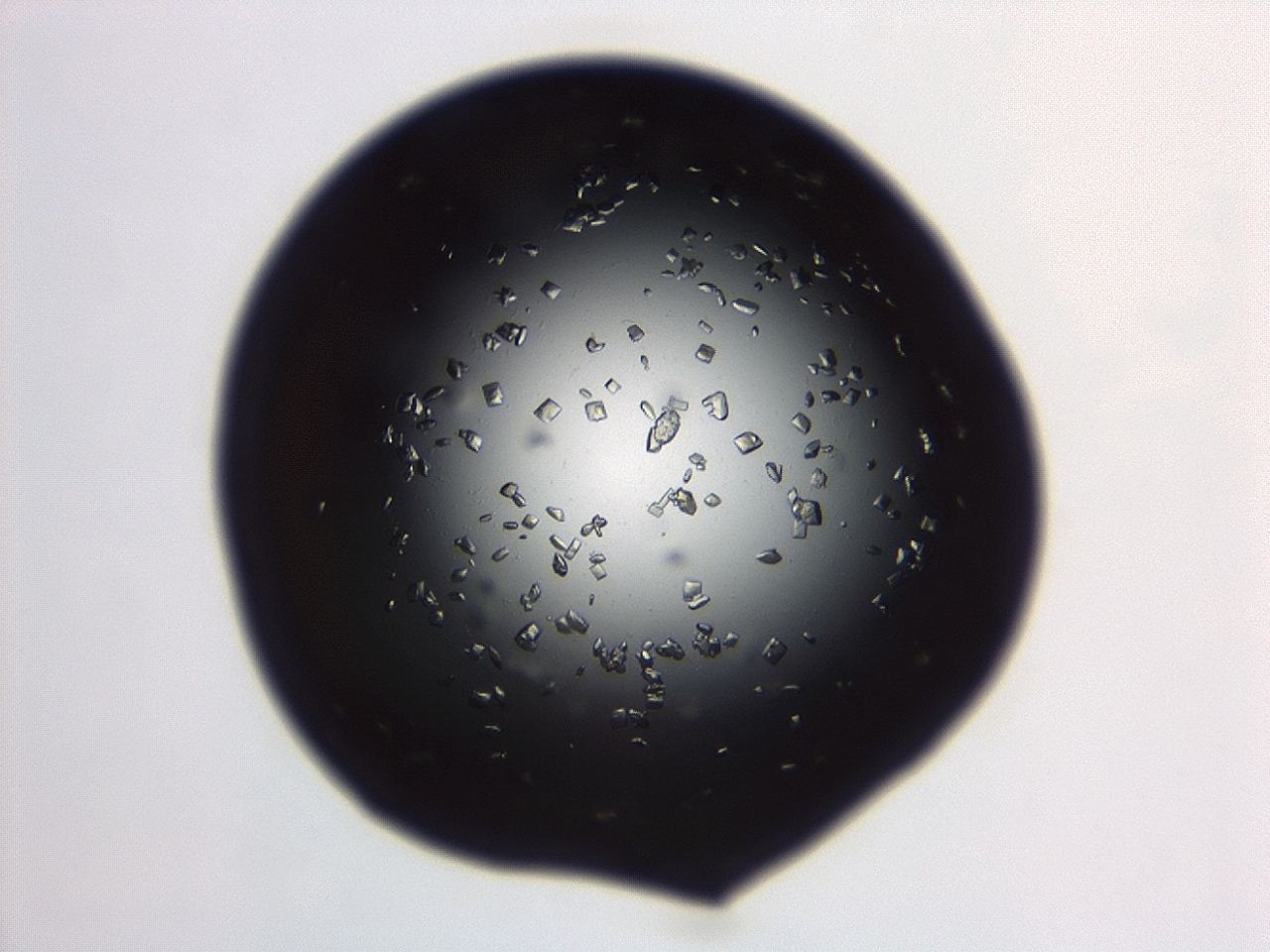 04em_B12_ImagerDefaults_8.jpg