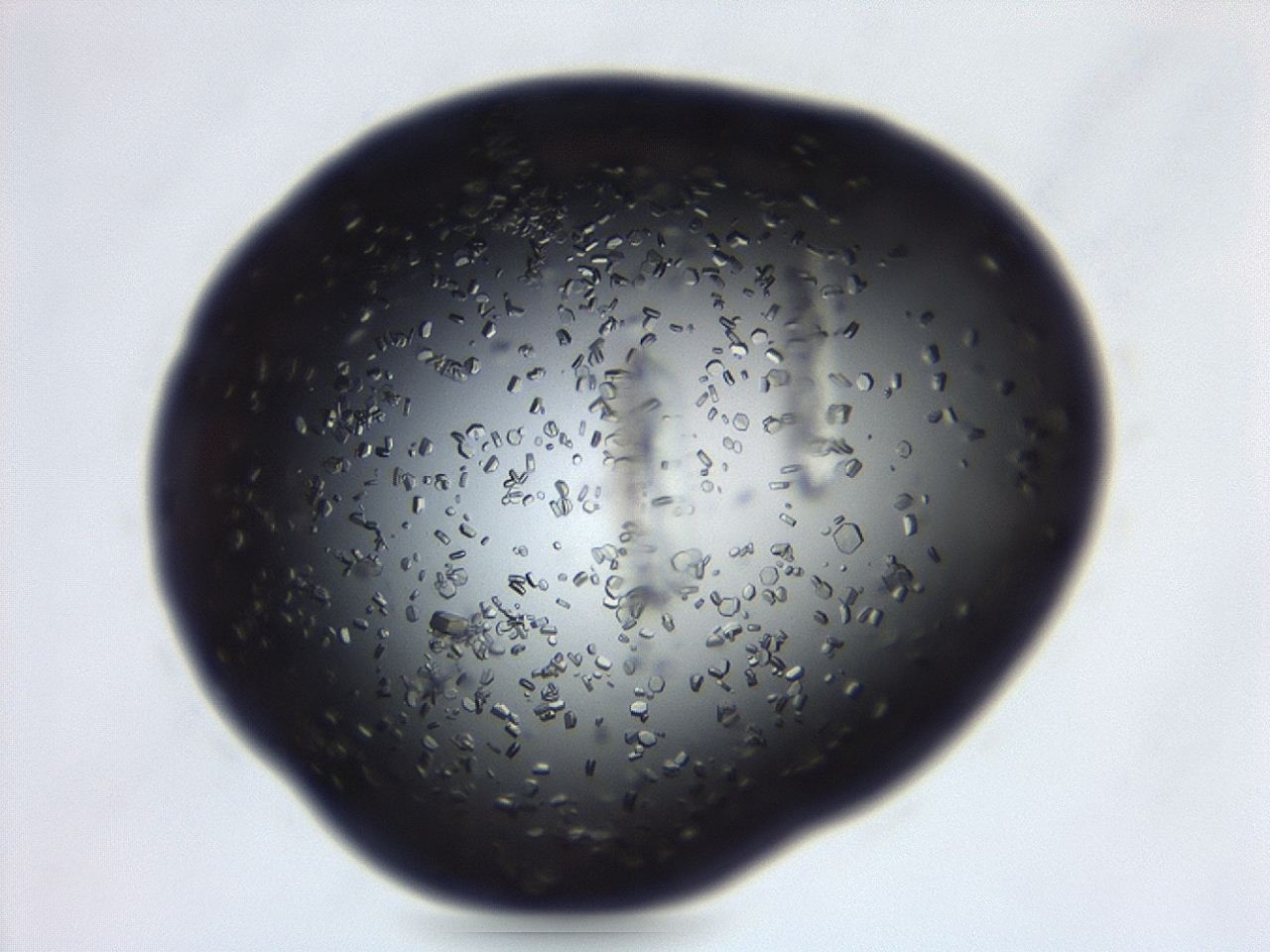 04em_C1_ImagerDefaults_8.jpg