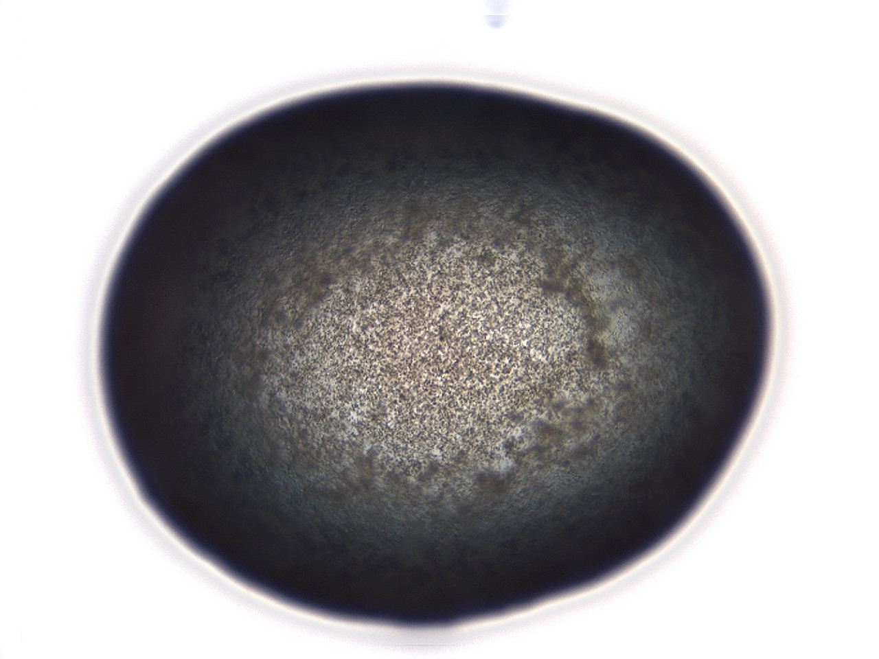 04em_C2_ImagerDefaults_3.jpg
