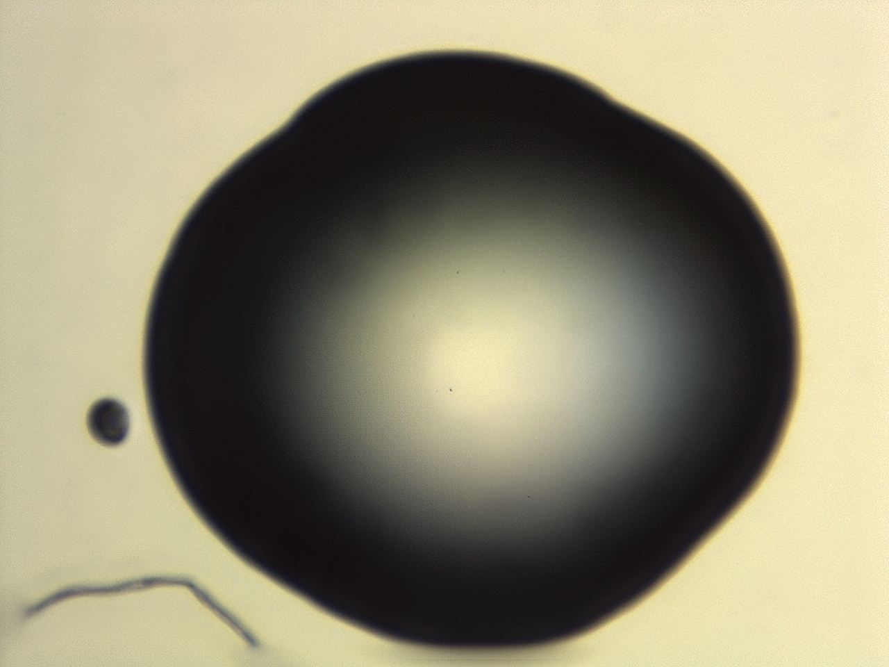 04em_G2_ImagerDefaults_0.jpg