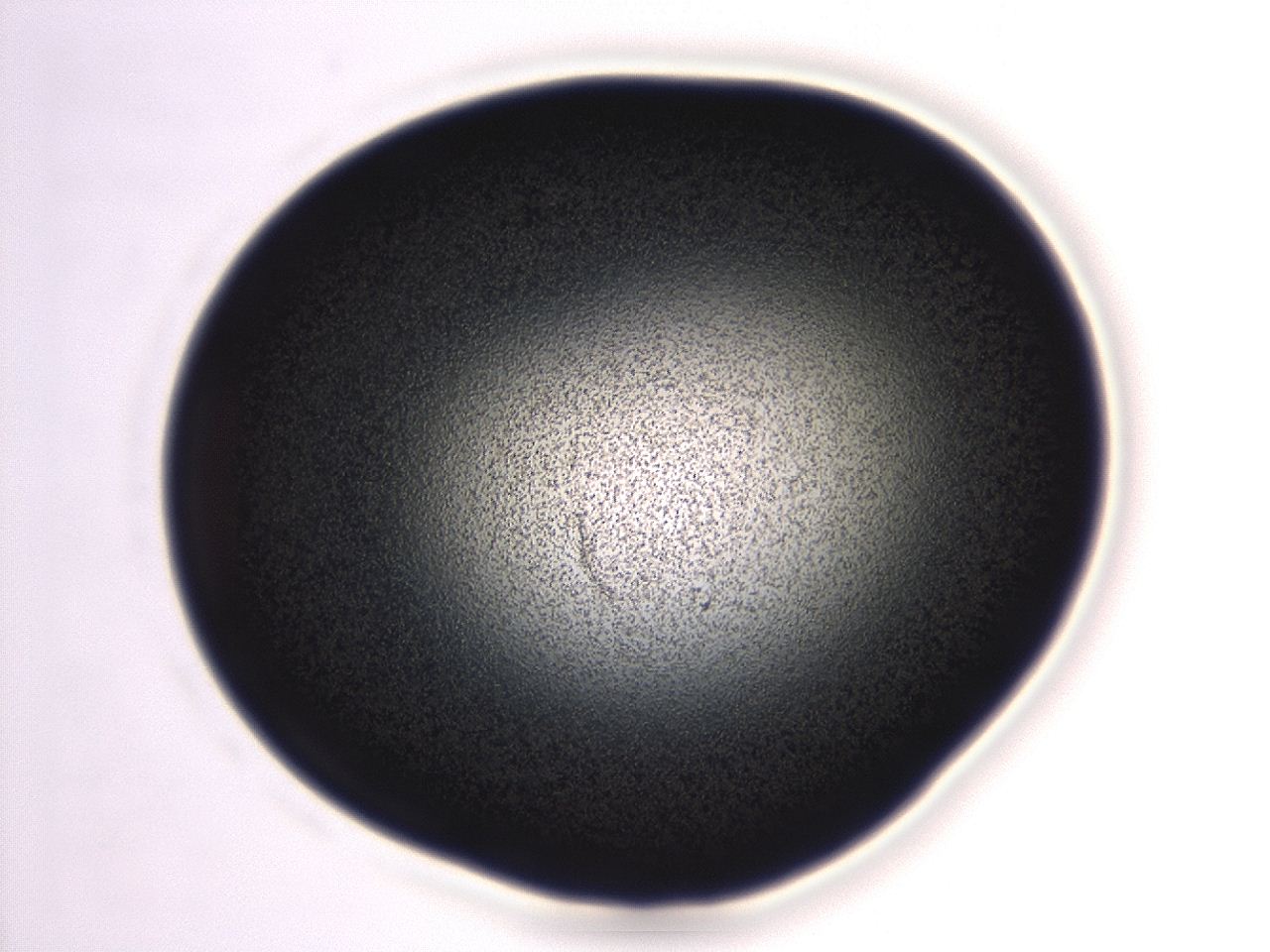 04em_G3_ImagerDefaults_3.jpg