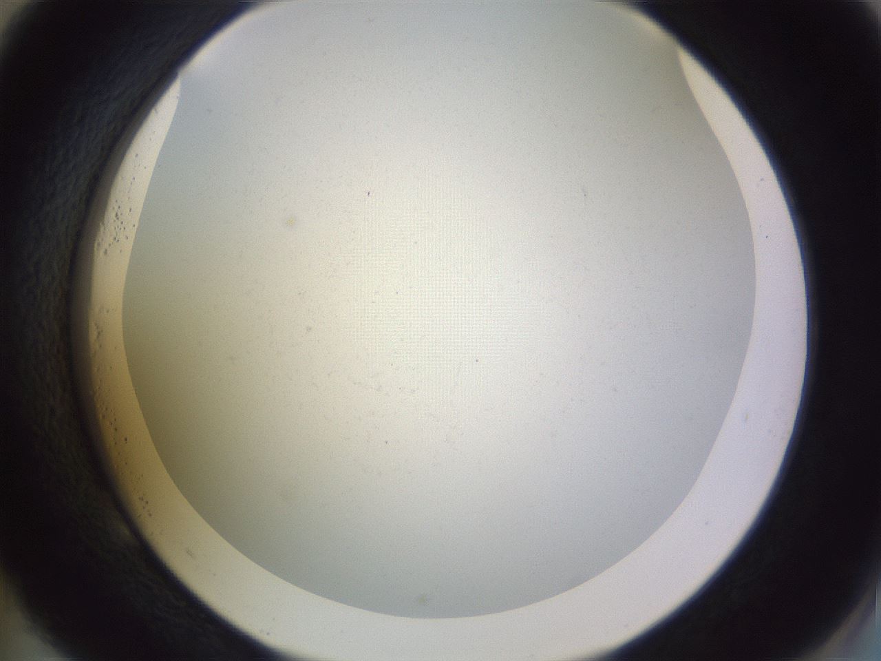 folderID949_plateID1949_batchID8313_wellNum53_profileID1_d2_r129299_ef.jpg