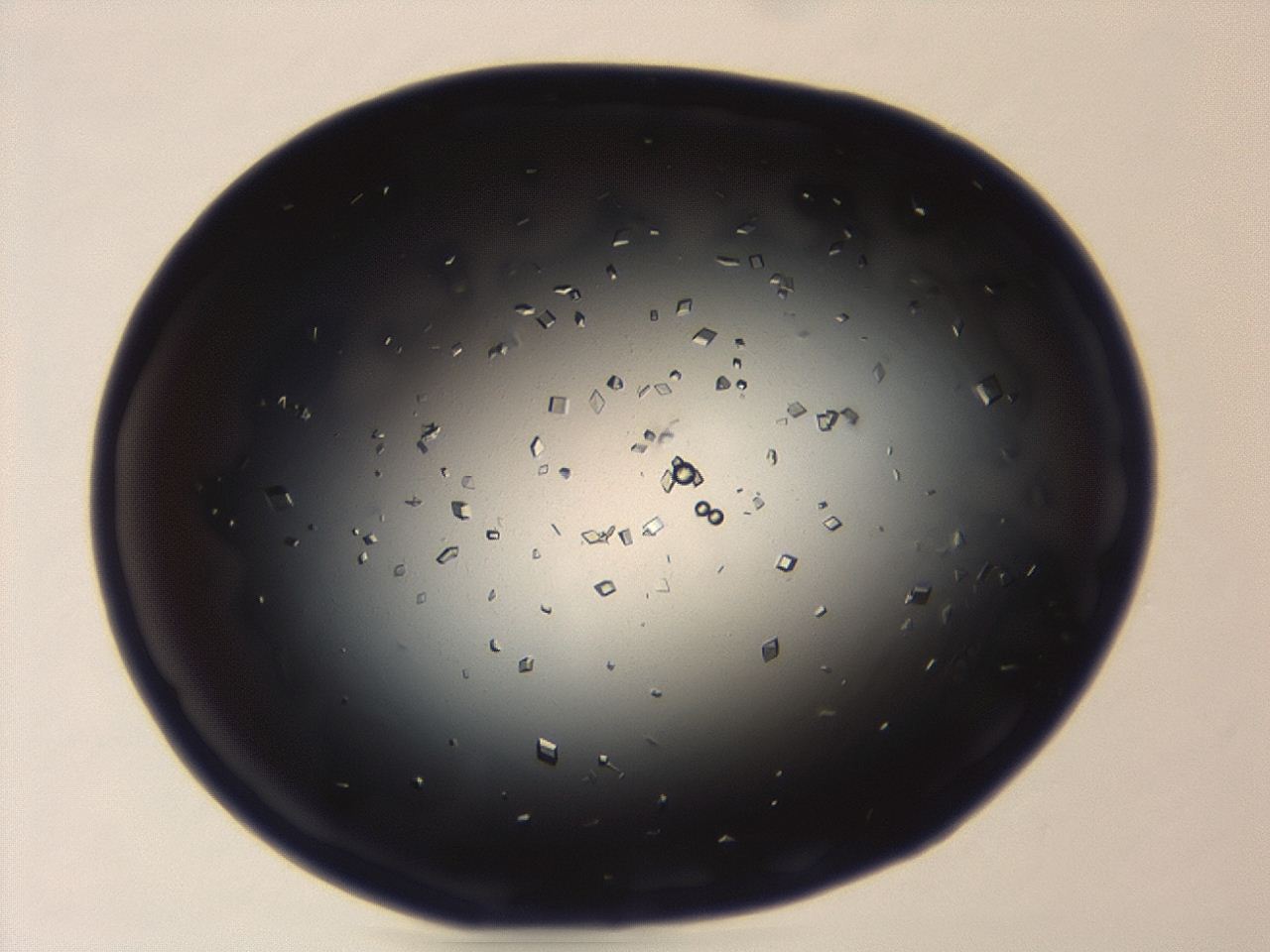 04em_A2_ImagerDefaults_0.jpg