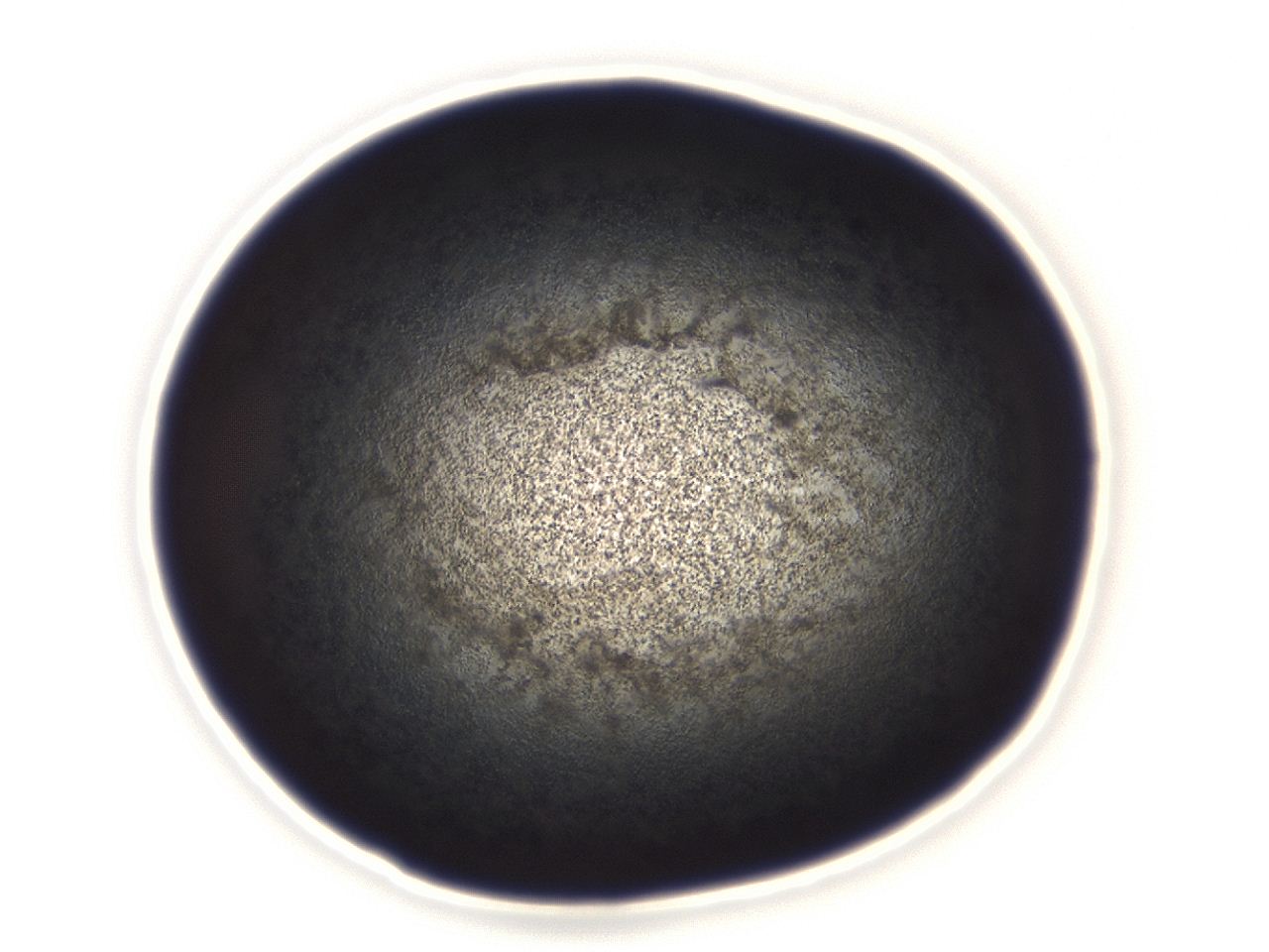 04em_A4_ImagerDefaults_3.jpg