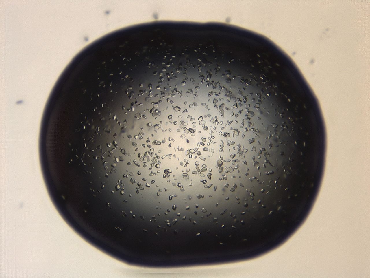 04em_A5_ImagerDefaults_8.jpg