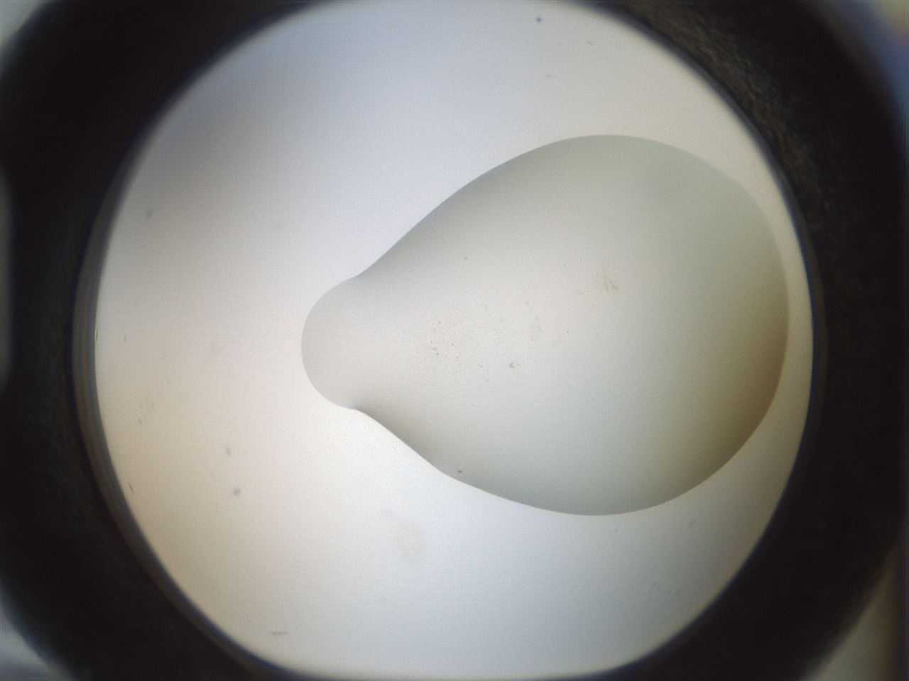 folderID949_plateID2949_batchID17434_wellNum94_profileID1_d1_r243119_ef.jpg