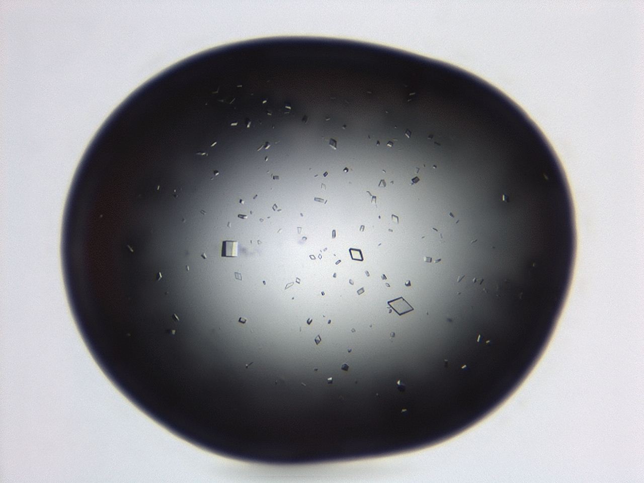 04em_C4_ImagerDefaults_0.jpg