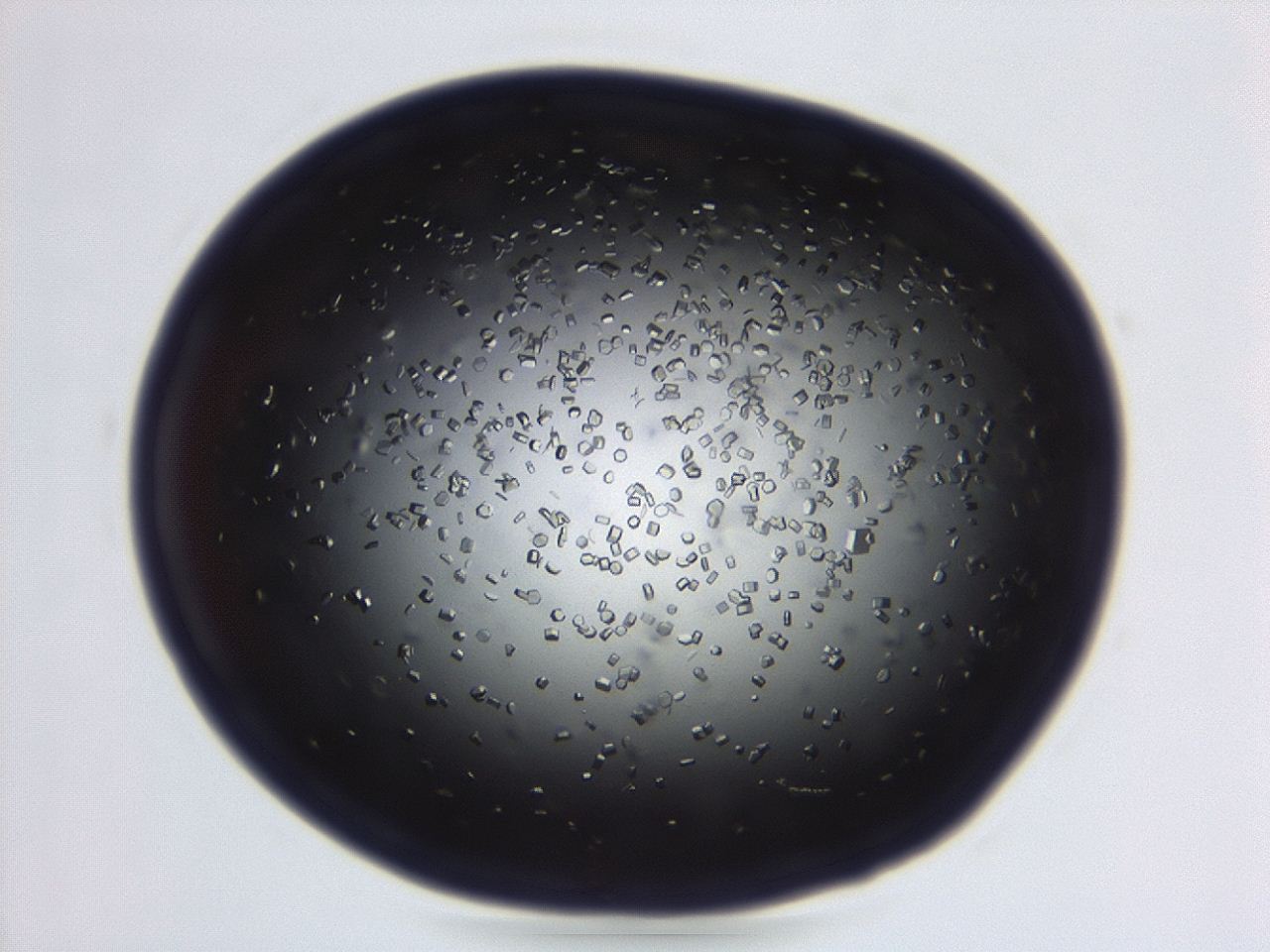 04em_C5_ImagerDefaults_8.jpg