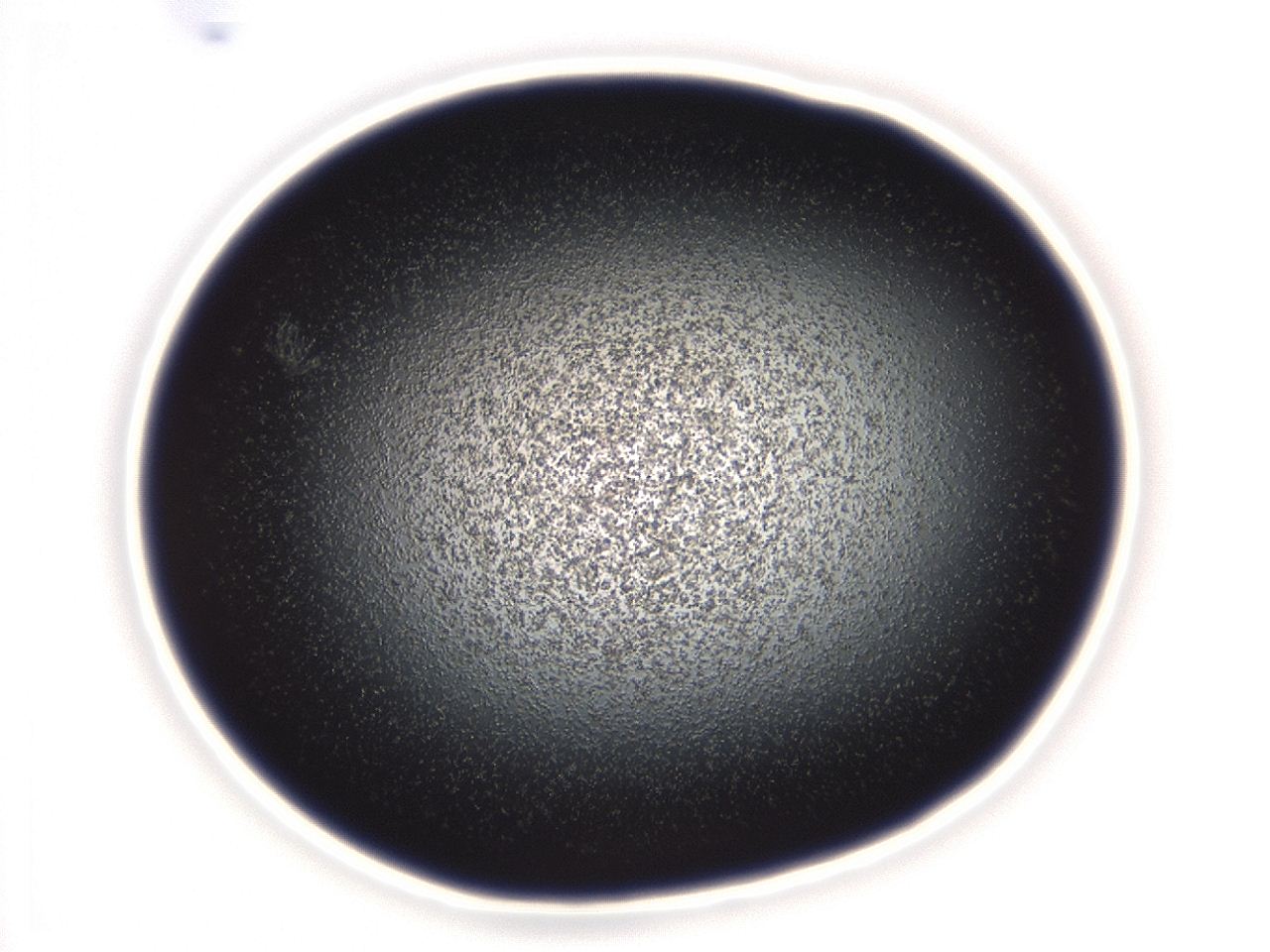 04em_C6_ImagerDefaults_3.jpg