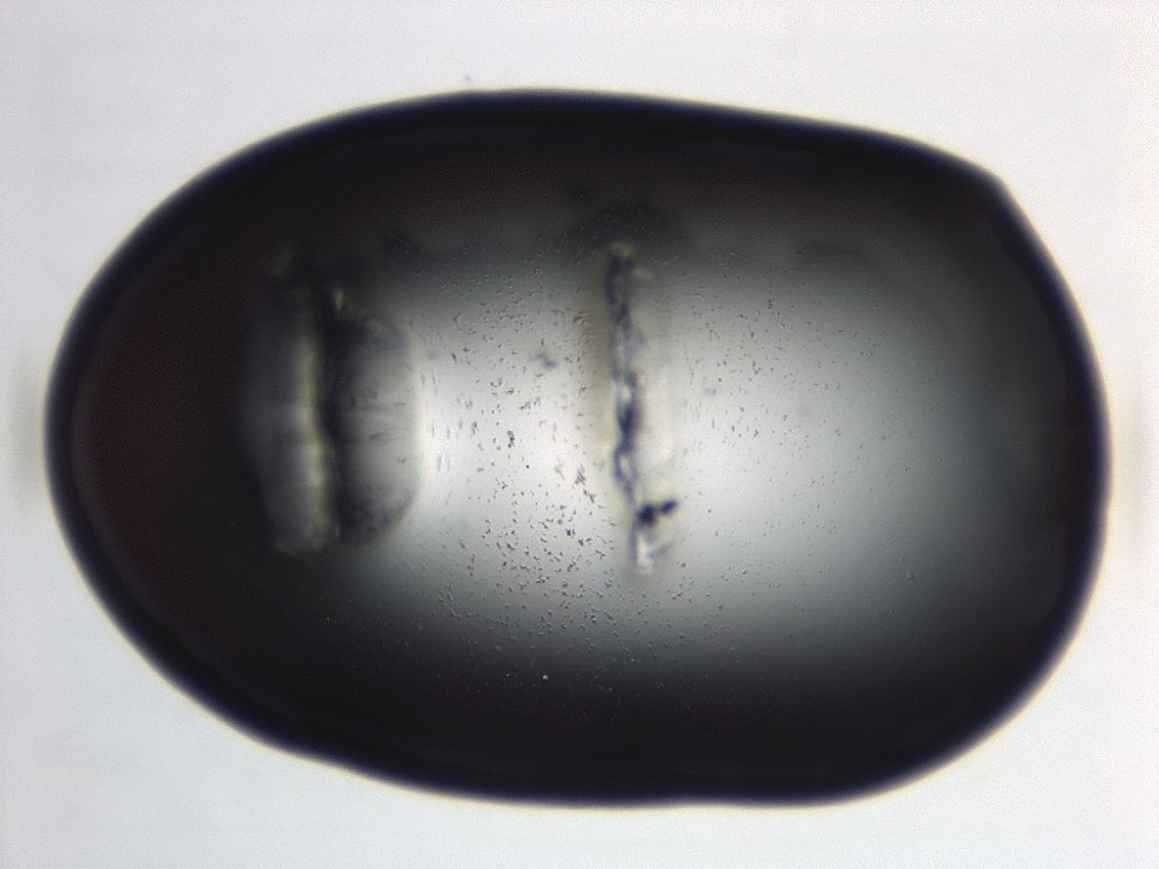 04em_C7_ImagerDefaults_0.jpg