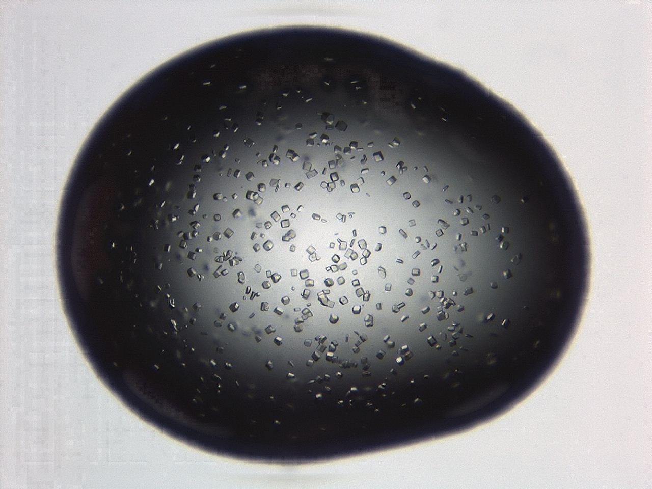 04em_C8_ImagerDefaults_8.jpg