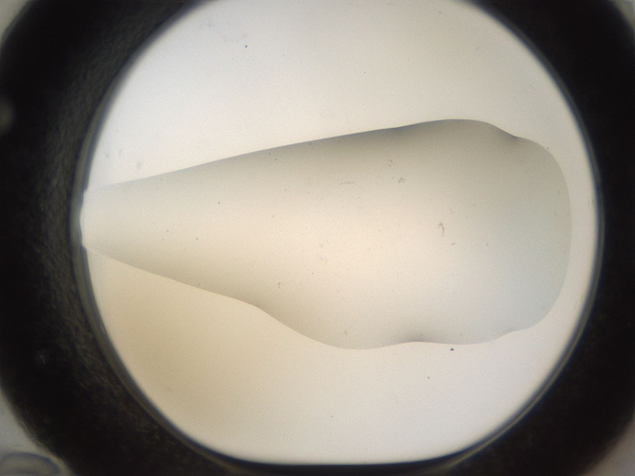 folderID950_plateID2950_batchID15814_wellNum72_profileID1_d1_r243399_ef.jpg