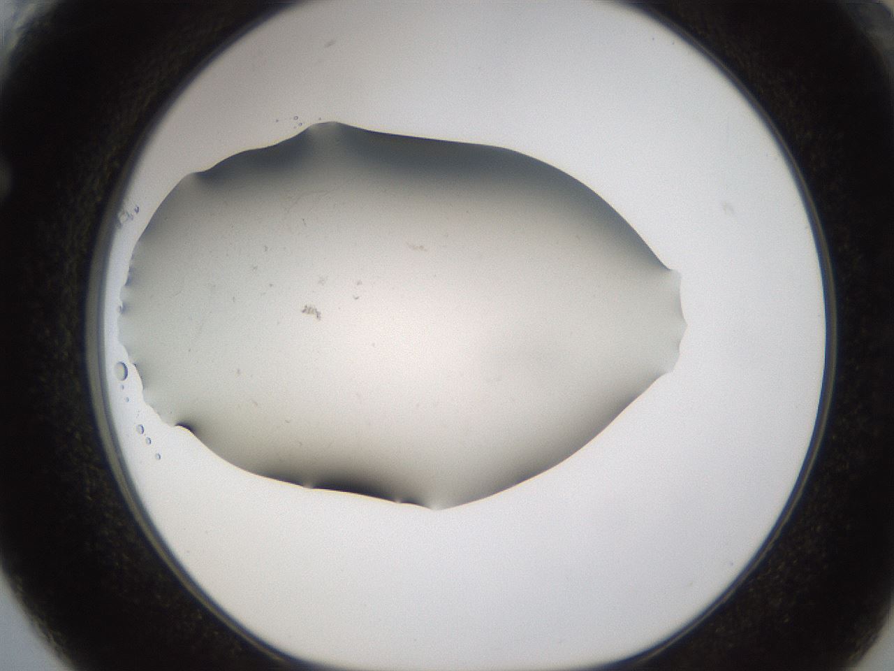 folderID950_plateID2950_batchID15848_wellNum61_profileID1_d1_r243388_ef.jpg