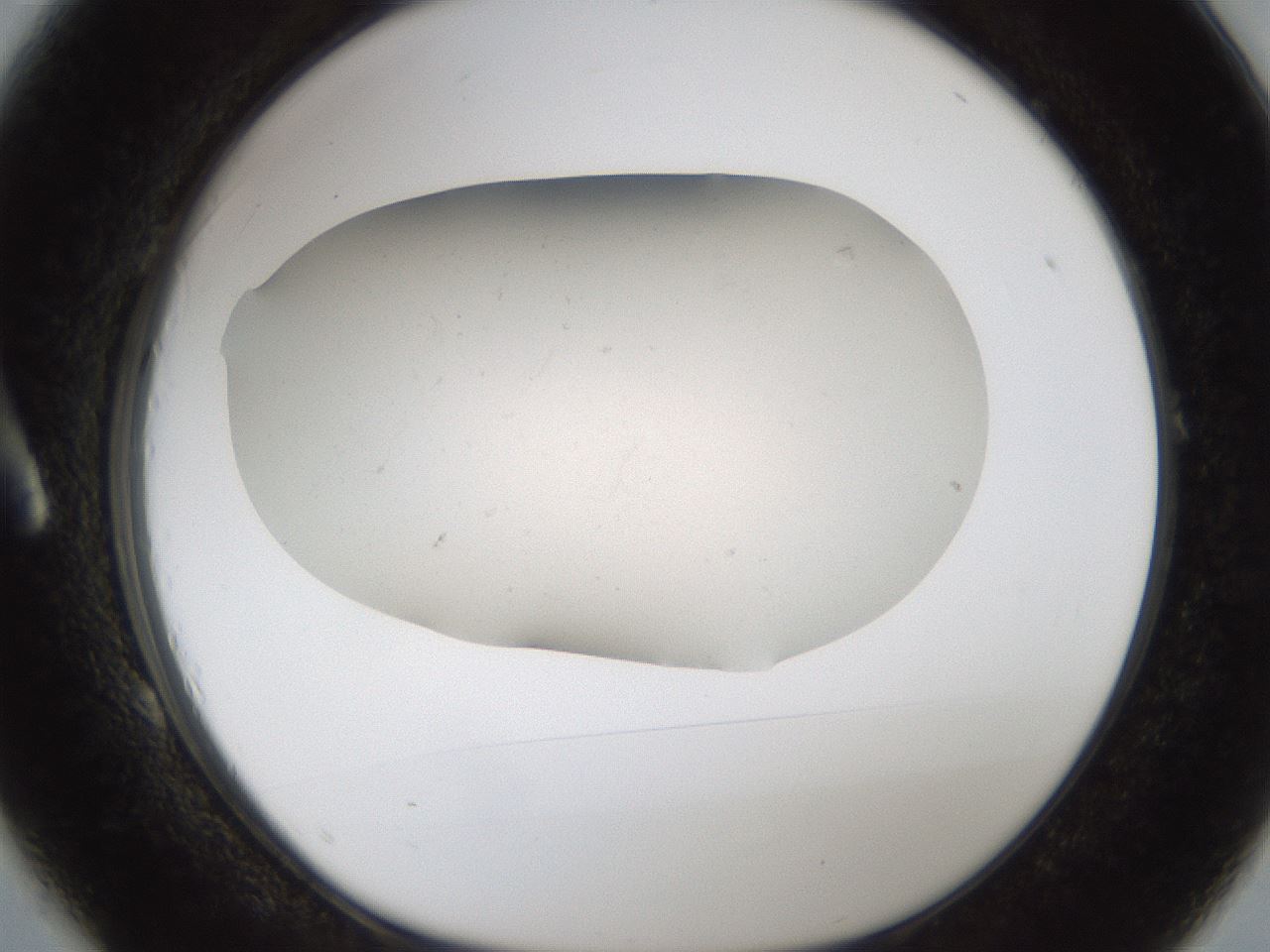 folderID950_plateID2950_batchID15913_wellNum1_profileID1_d1_r243328_ef.jpg