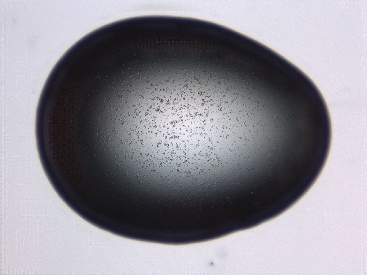 04em_C10_ImagerDefaults_0.jpg