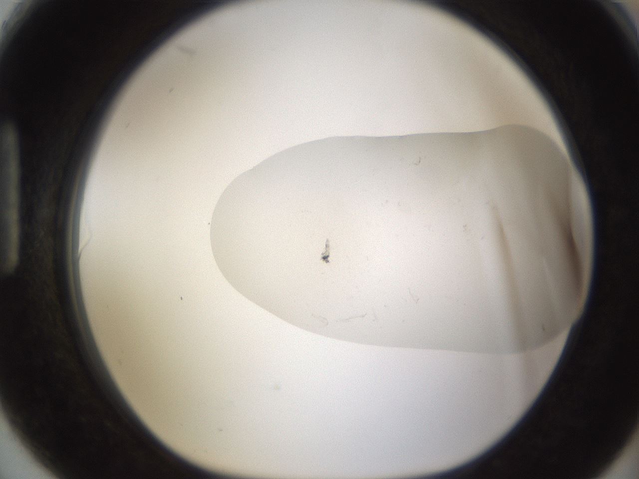 folderID950_plateID2950_batchID16556_wellNum90_profileID1_d1_r243417_ef.jpg