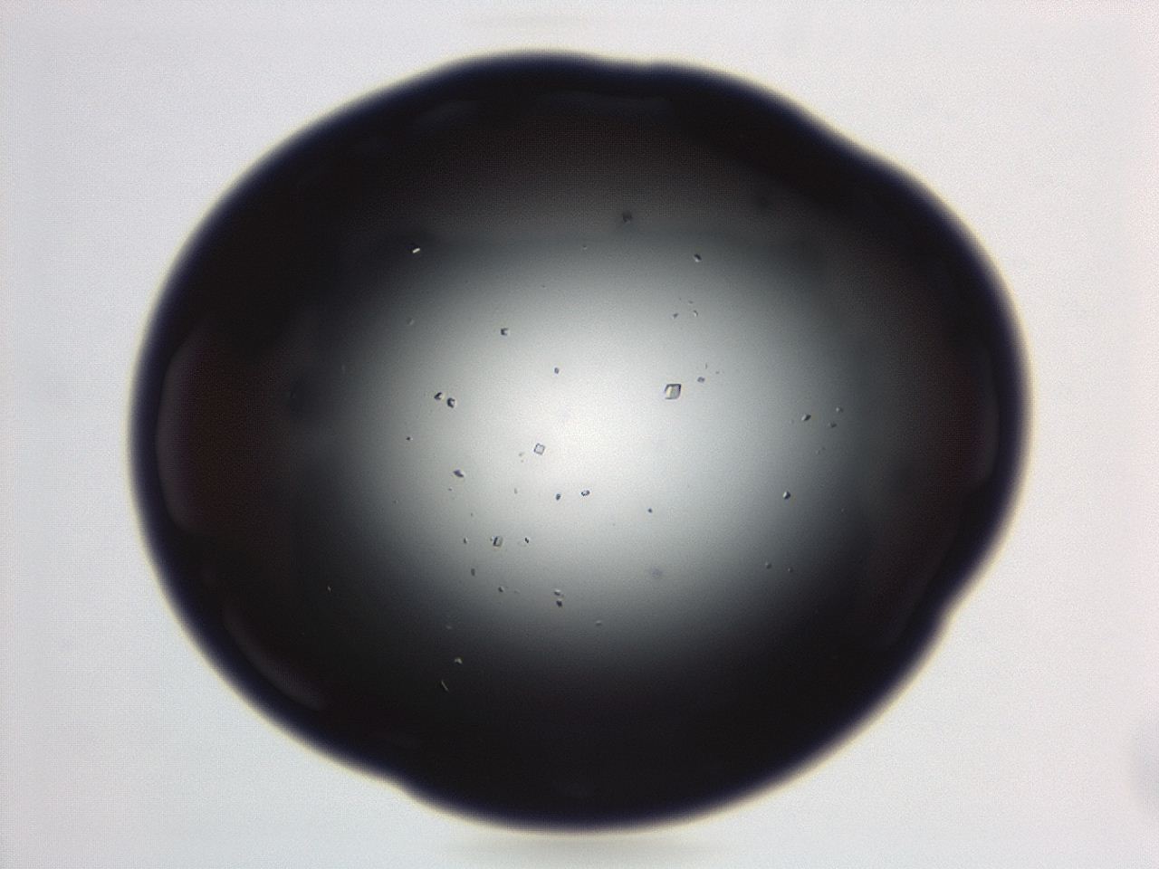 04em_C11_ImagerDefaults_0.jpg