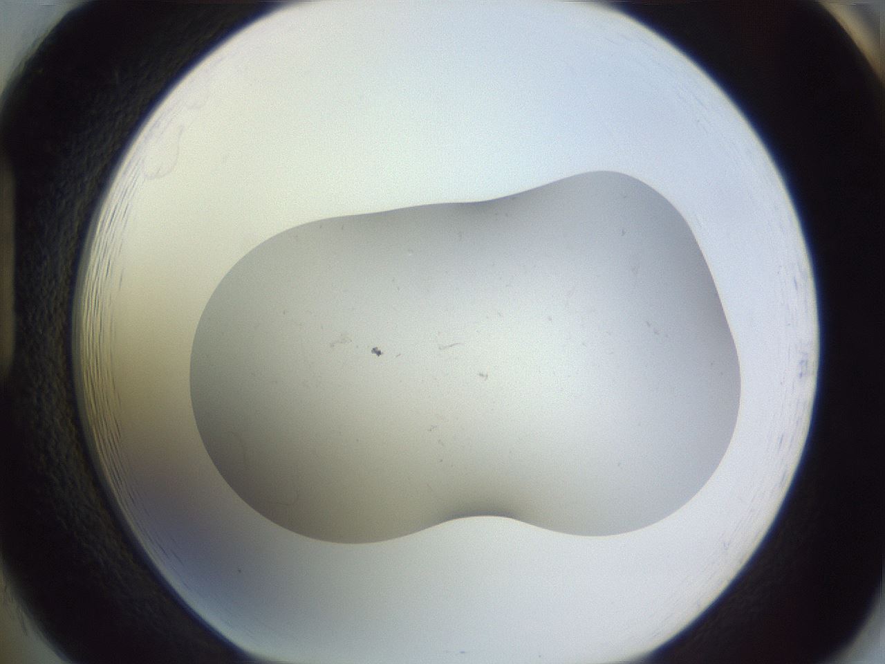 folderID951_plateID2951_batchID16213_wellNum85_profileID1_d1_r243604_ef.jpg