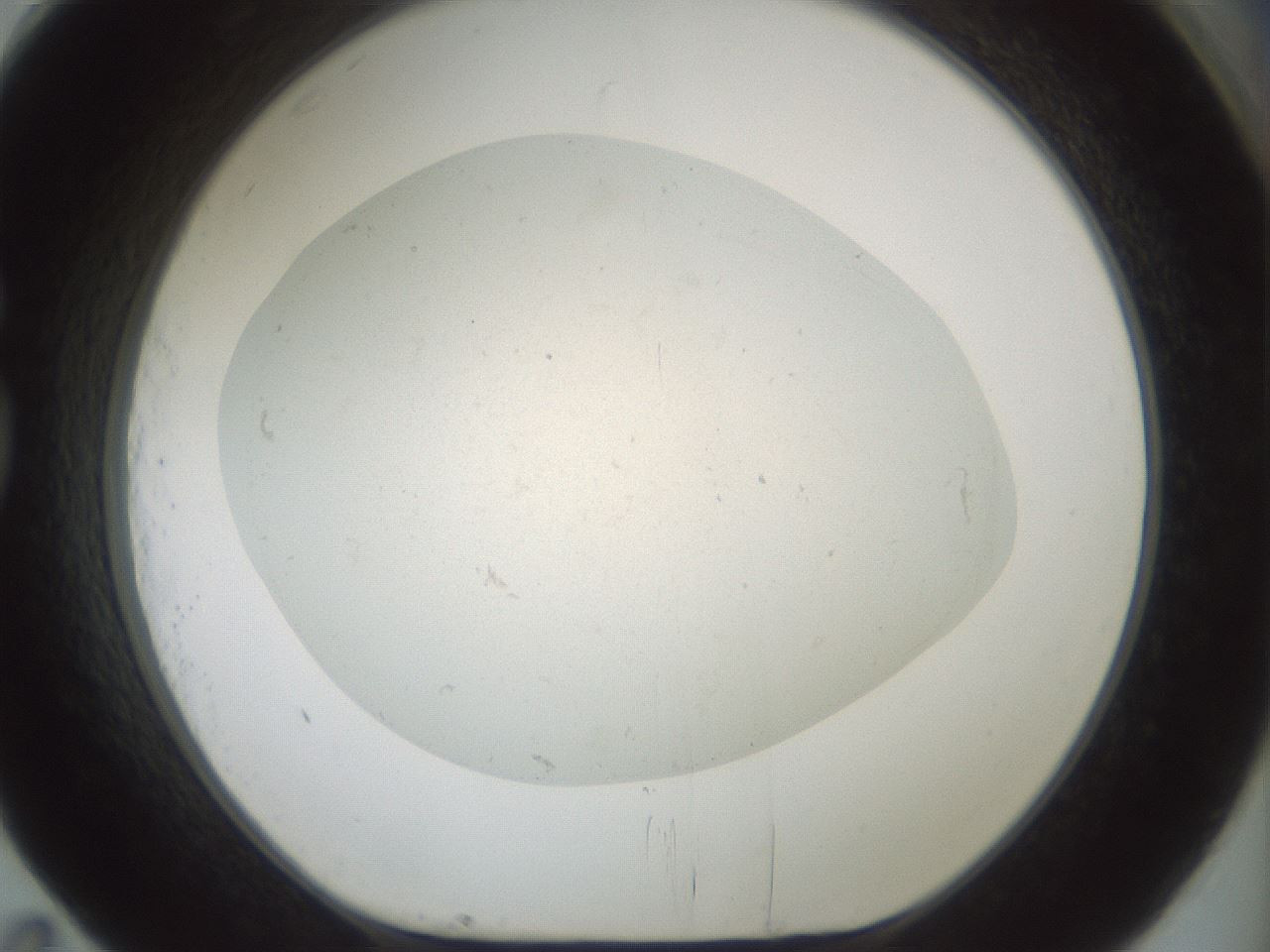 folderID952_plateID2952_batchID15815_wellNum83_profileID1_d1_r243506_ef.jpg
