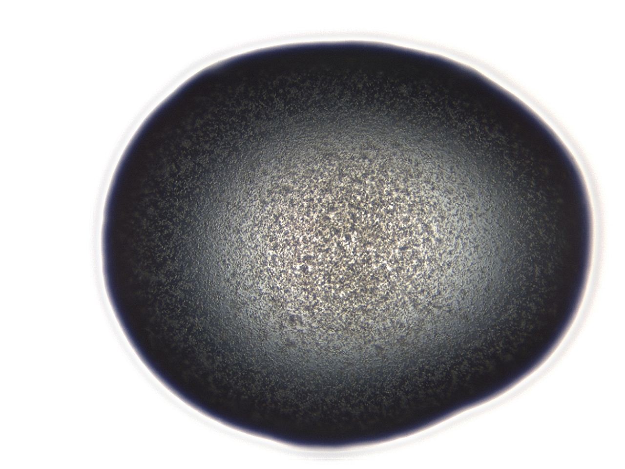 04em_D3_ImagerDefaults_3.jpg
