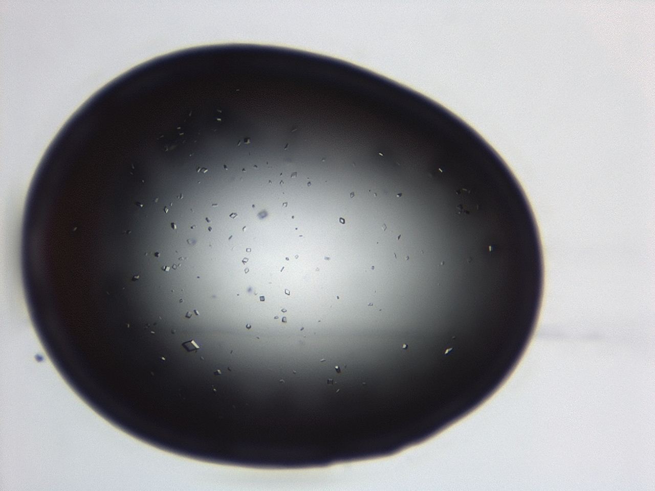 04em_D5_ImagerDefaults_0.jpg
