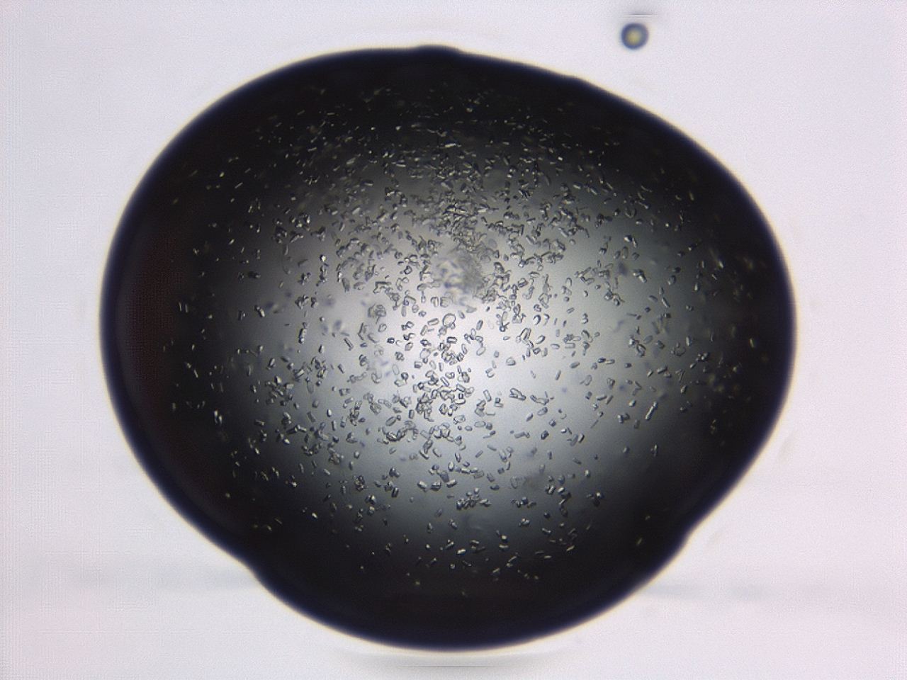 04em_D6_ImagerDefaults_8.jpg