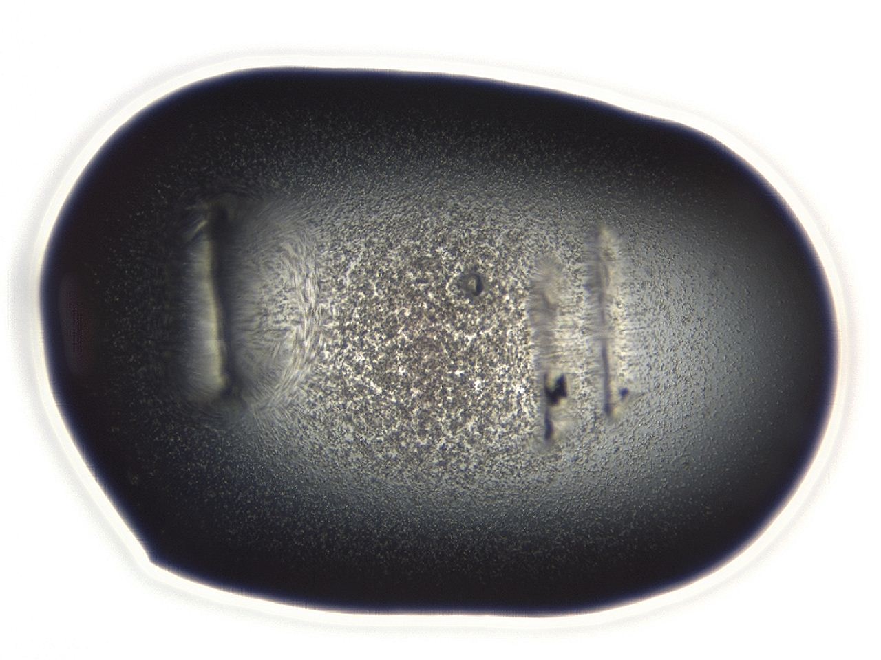 04em_D7_ImagerDefaults_3.jpg