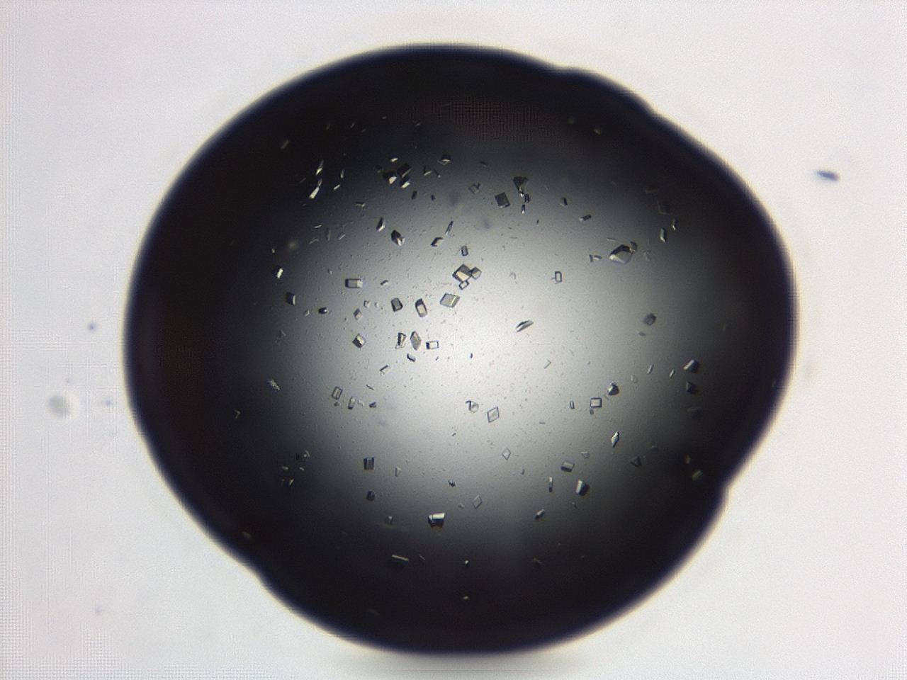 04em_D9_ImagerDefaults_0.jpg
