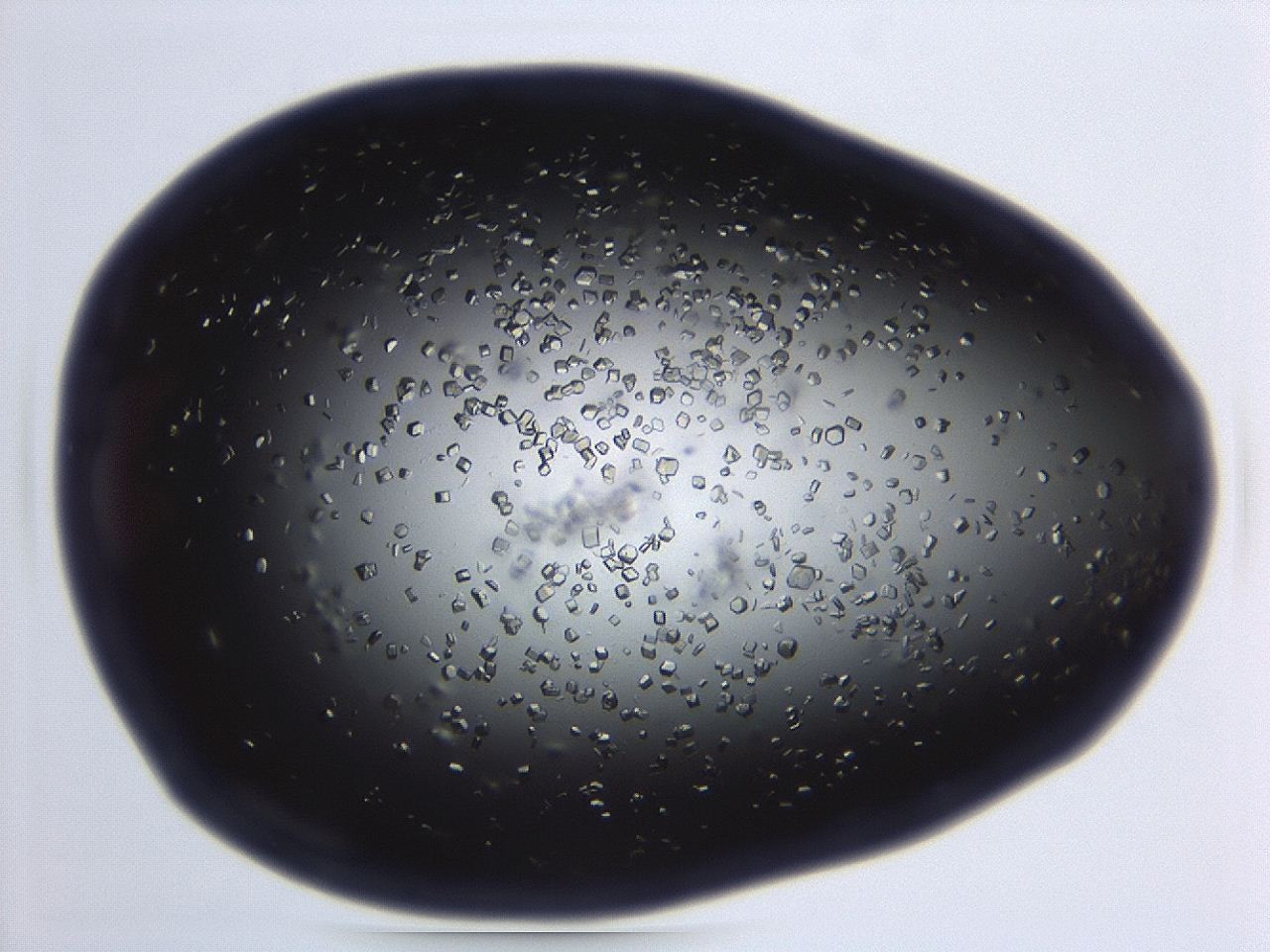 04em_D10_ImagerDefaults_8.jpg