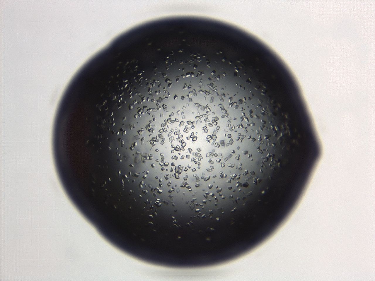04em_D11_ImagerDefaults_8.jpg