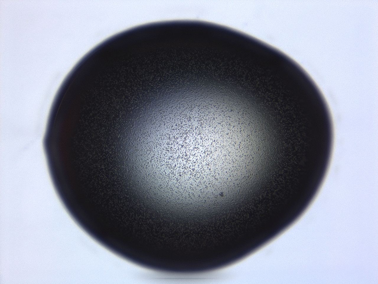 04em_E2_ImagerDefaults_3.jpg
