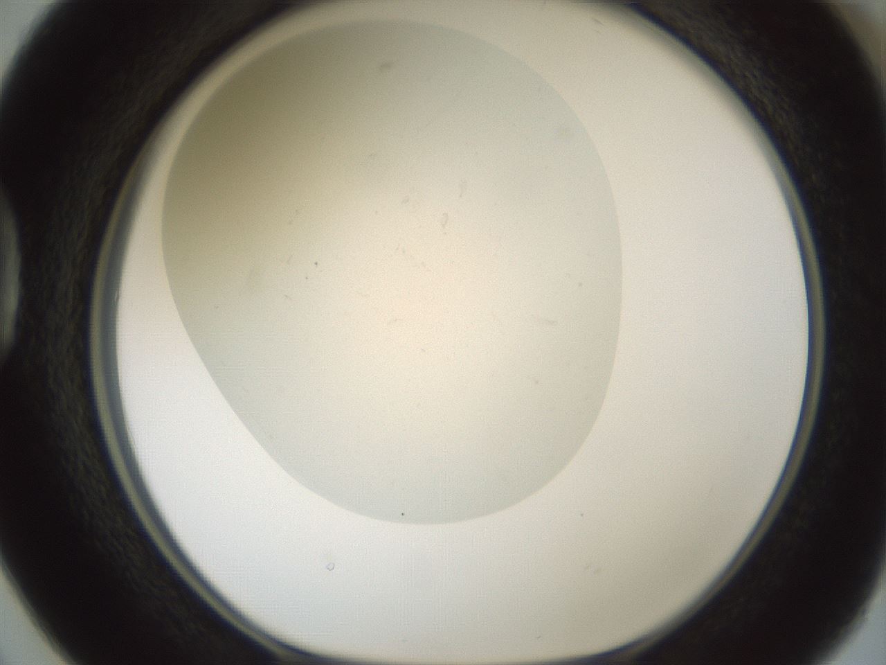 folderID955_plateID2955_batchID15897_wellNum38_profileID1_d1_r243749_ef.jpg