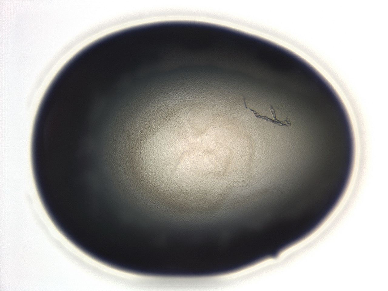 04em_F8_ImagerDefaults_3.jpg