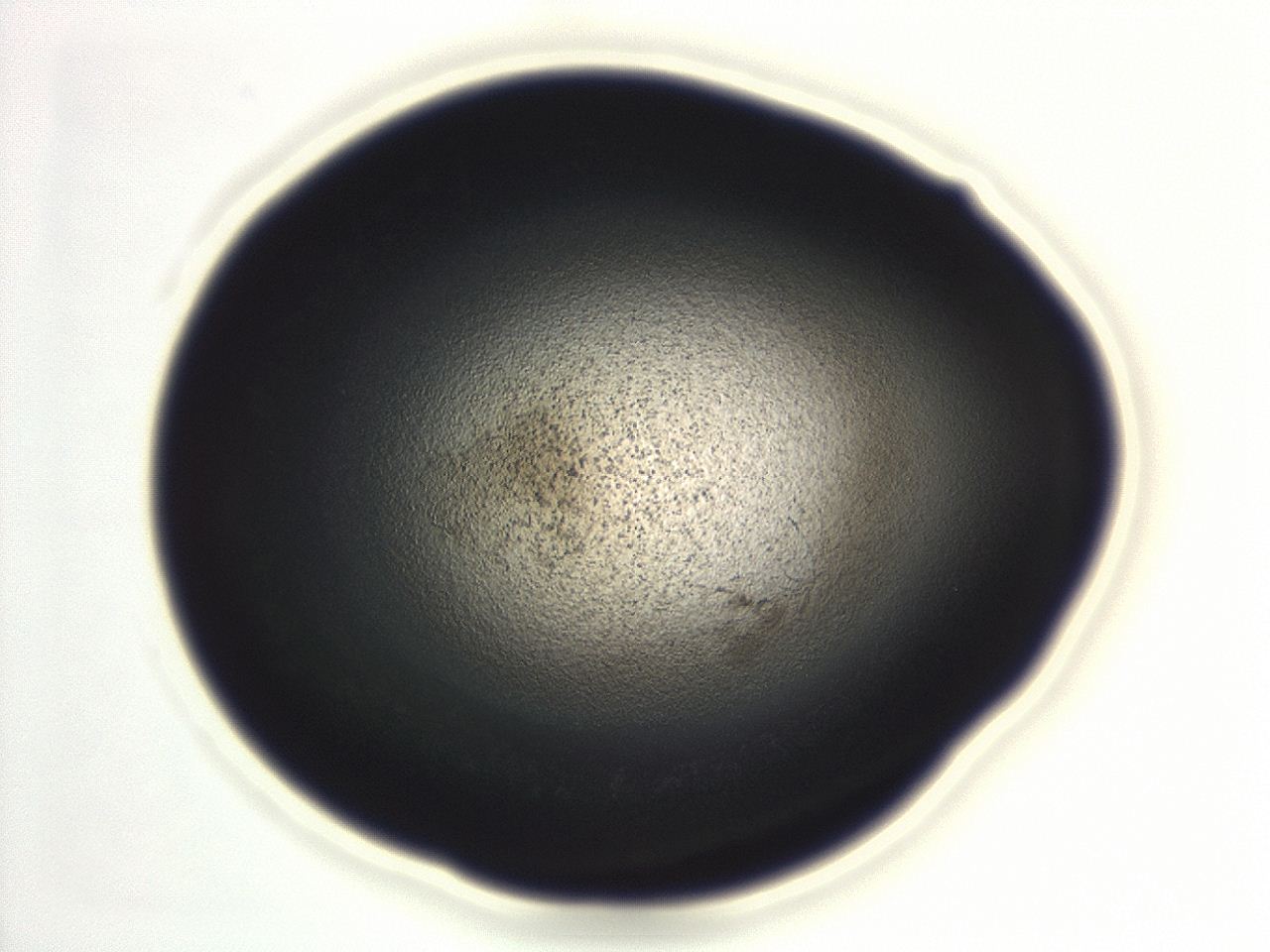 04em_F9_ImagerDefaults_3.jpg
