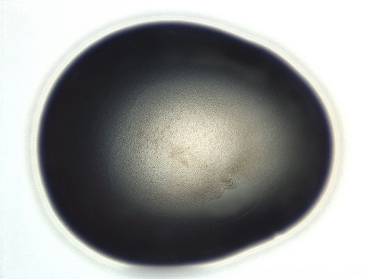04em_F10_ImagerDefaults_3.jpg