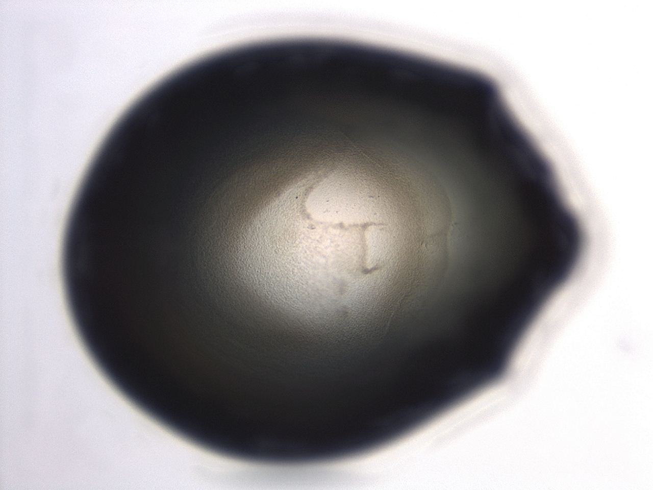 04em_F11_ImagerDefaults_3.jpg