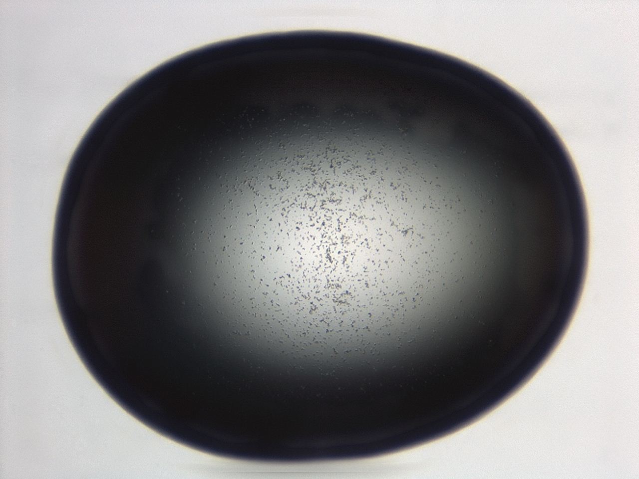 04em_E8_ImagerDefaults_3.jpg