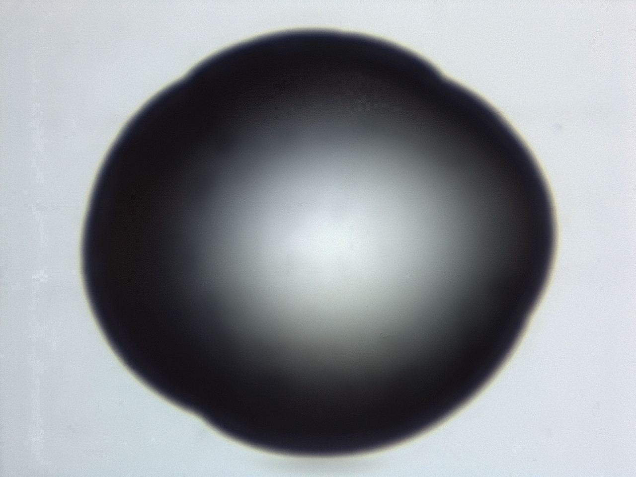 04em_E10_ImagerDefaults_0.jpg