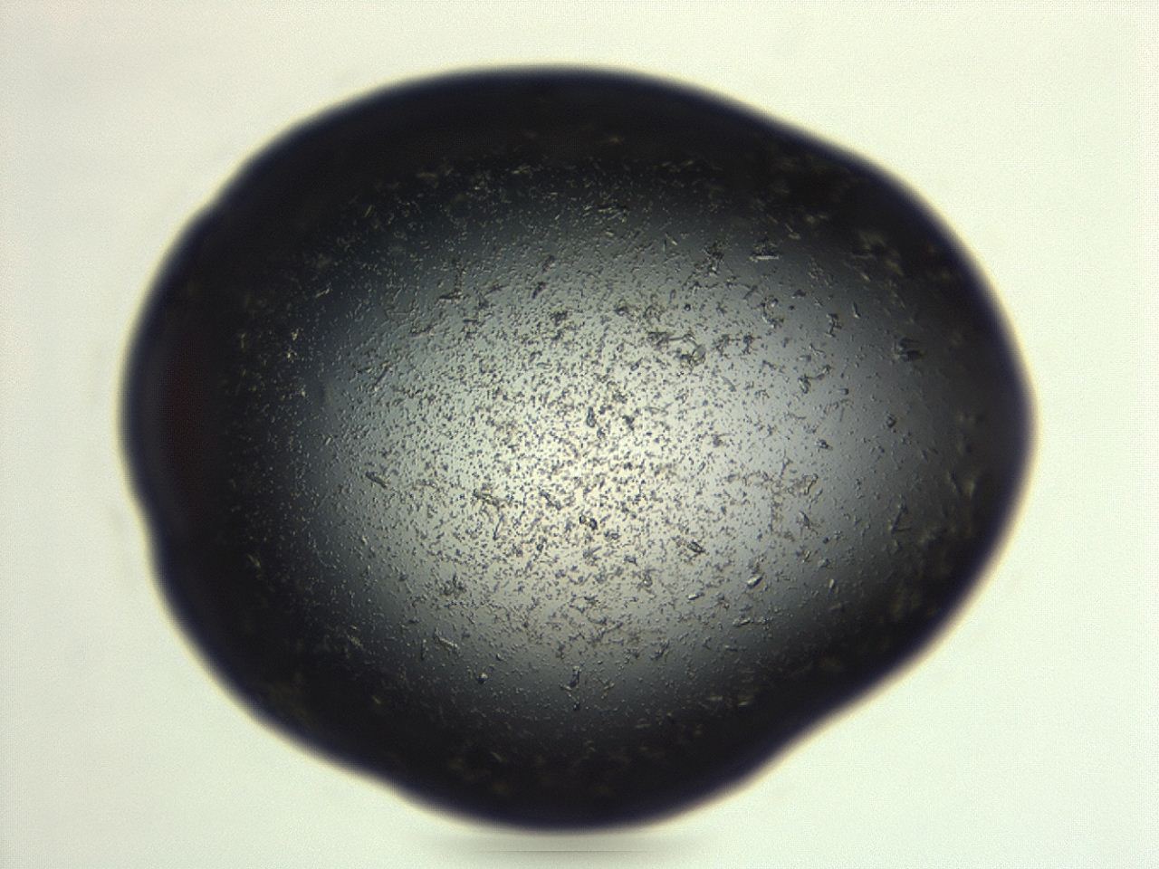 04em_F2_ImagerDefaults_8.jpg