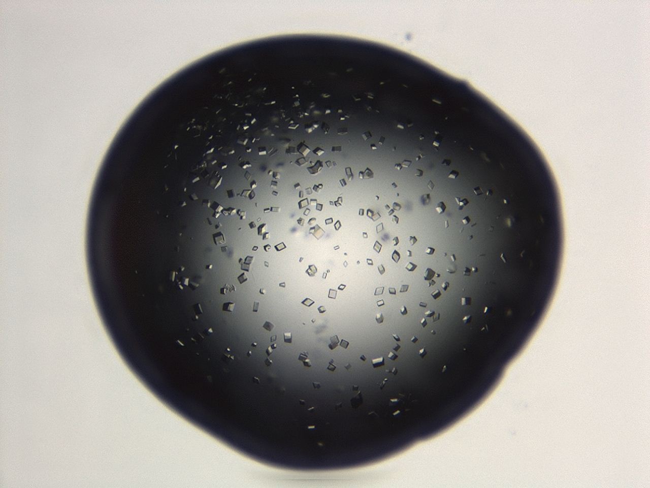 04em_F3_ImagerDefaults_0.jpg