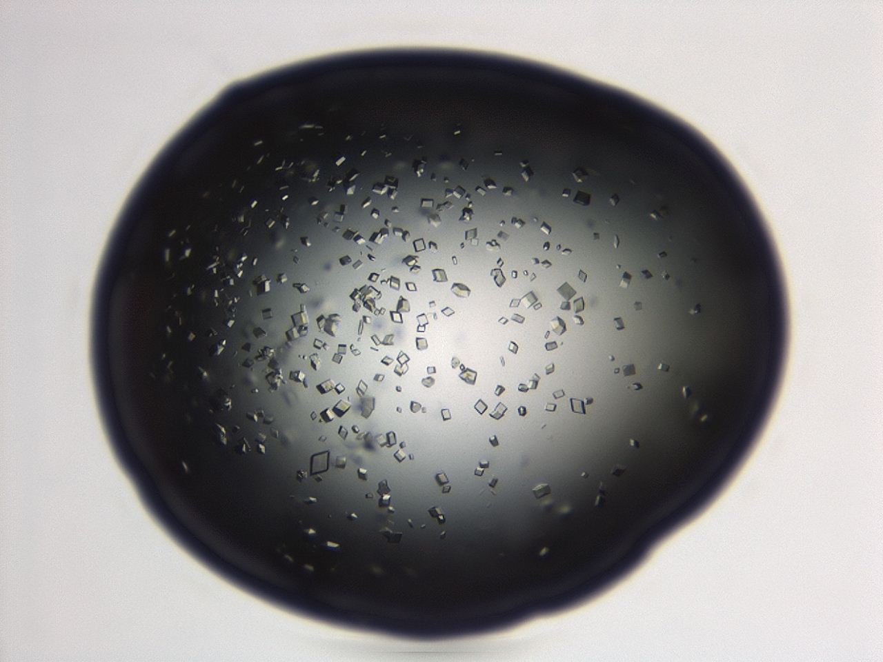04em_F4_ImagerDefaults_0.jpg