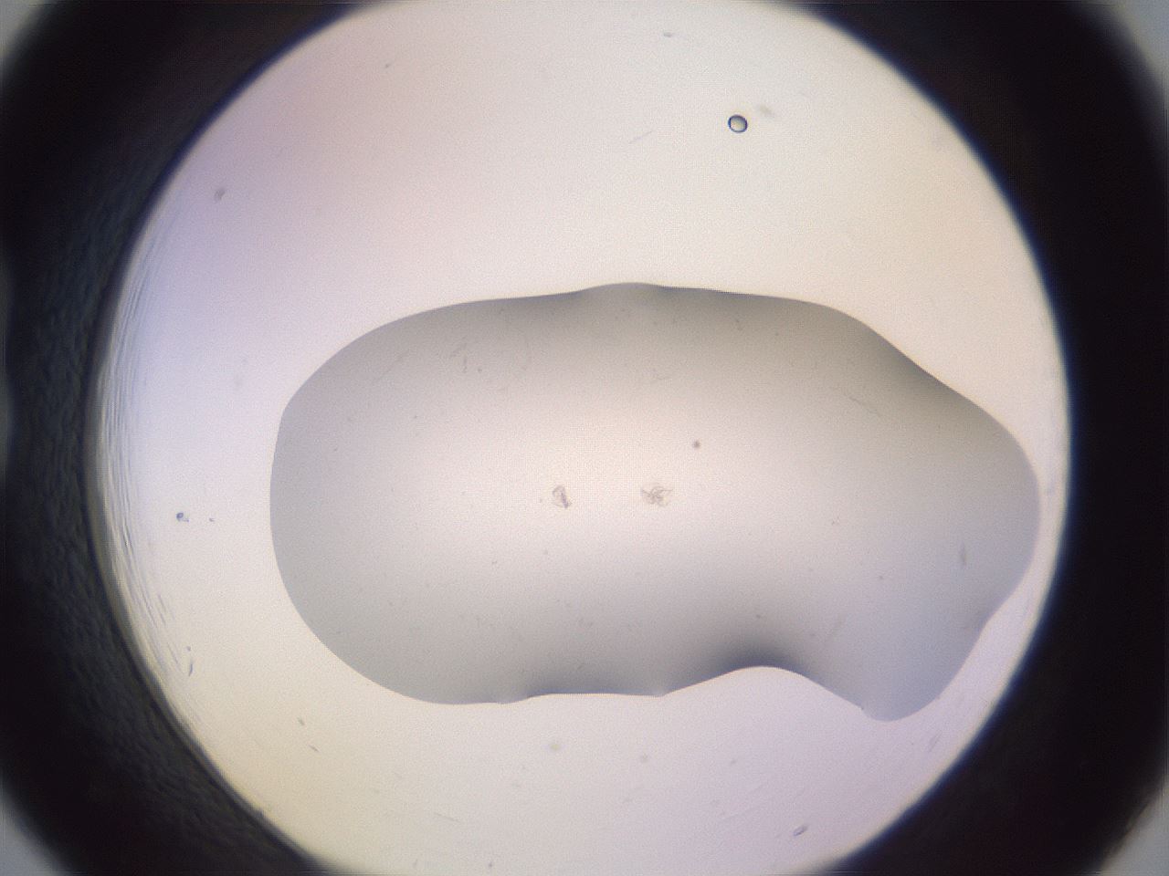 folderID957_plateID2957_batchID16025_wellNum18_profileID1_d1_r242849_ef.jpg