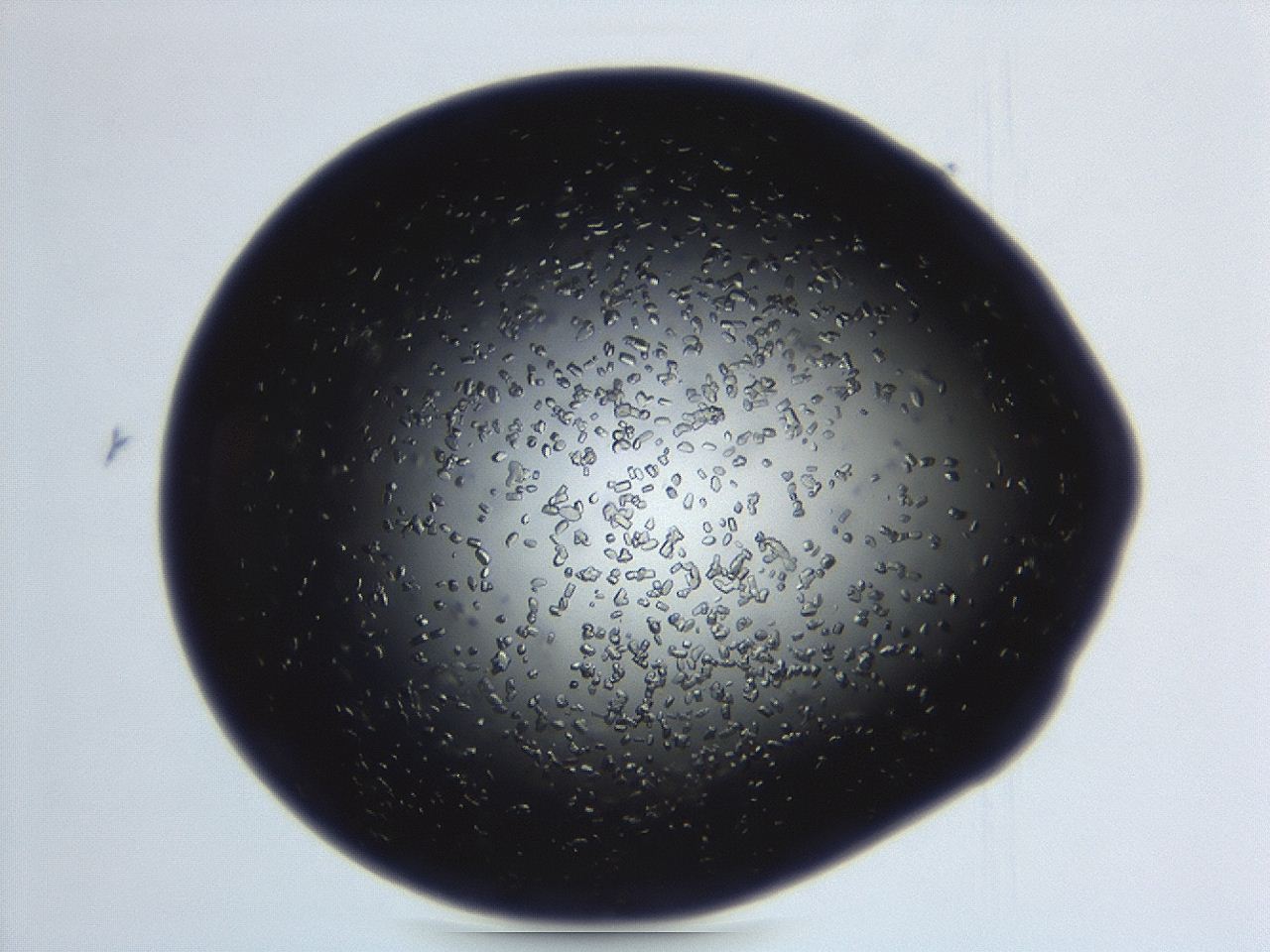 04em_F6_ImagerDefaults_8.jpg