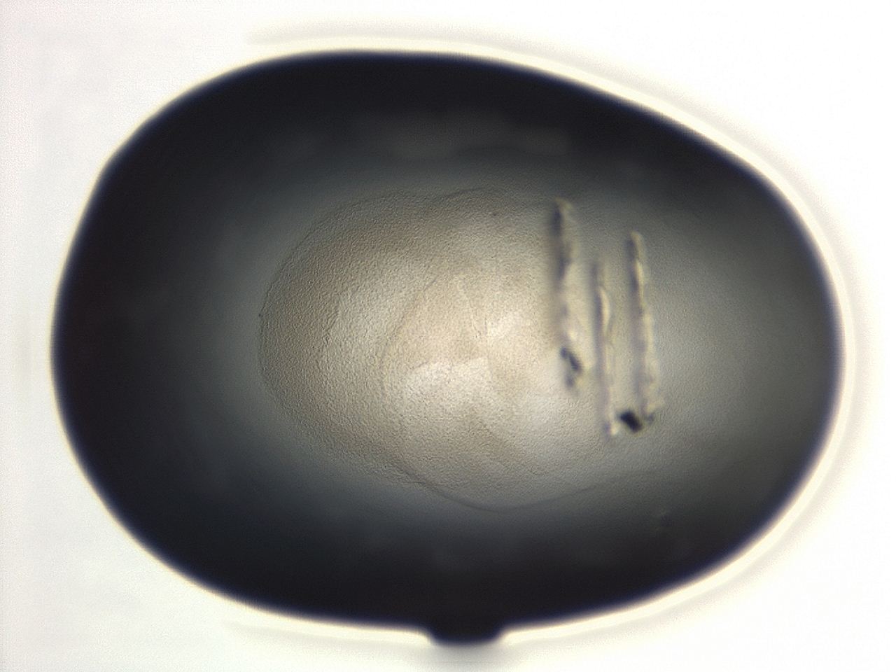 04em_F7_ImagerDefaults_3.jpg