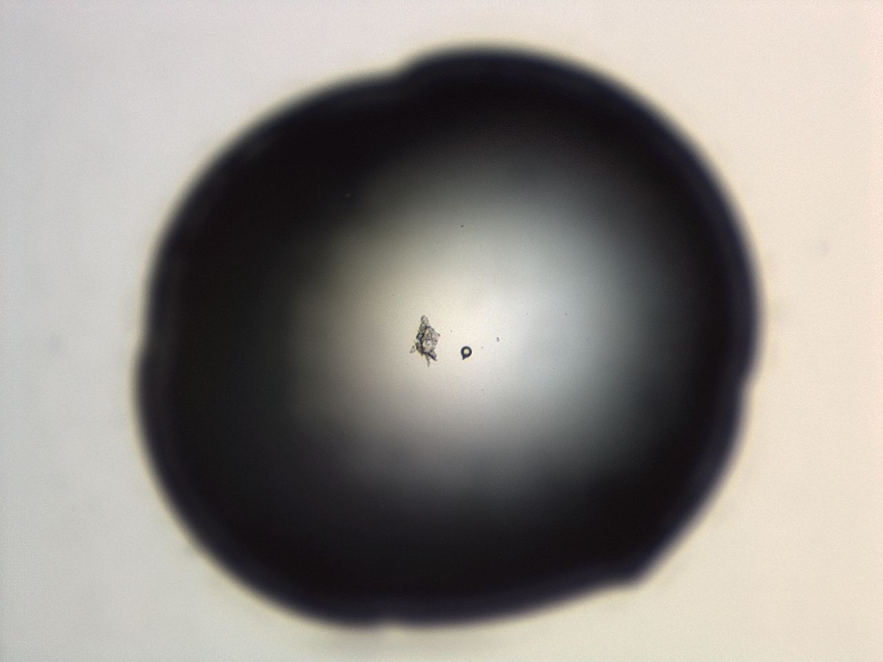04em_G12_ImagerDefaults_0.jpg
