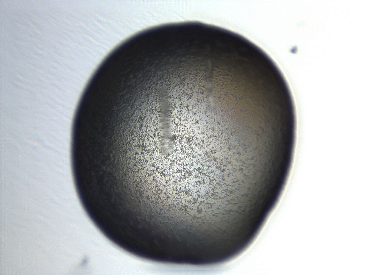 04em_H1_ImagerDefaults_3.jpg