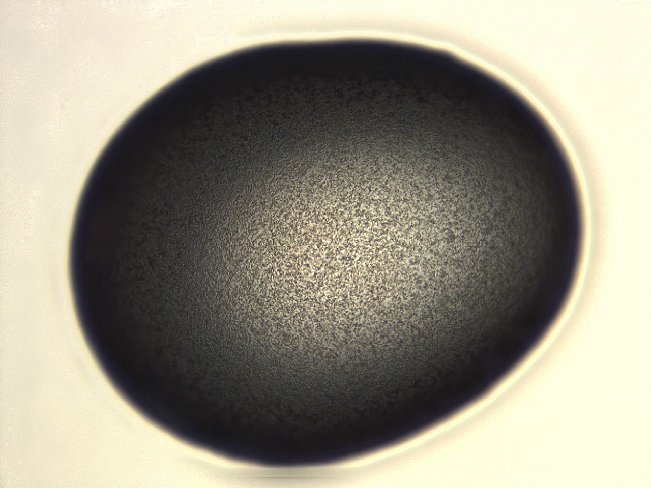 04em_H2_ImagerDefaults_3.jpg