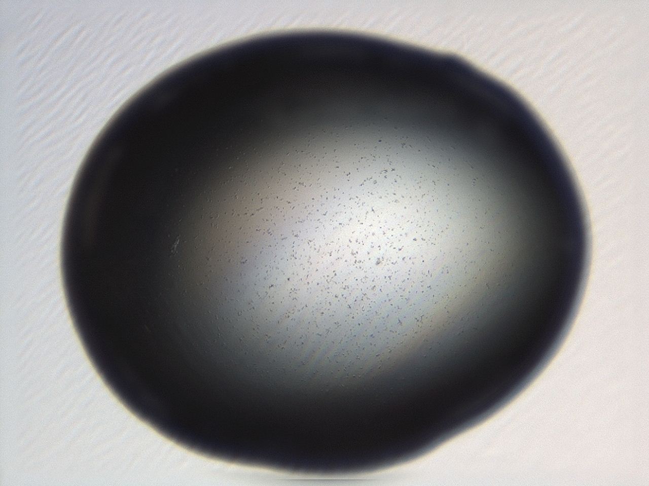 04em_H4_ImagerDefaults_0.jpg